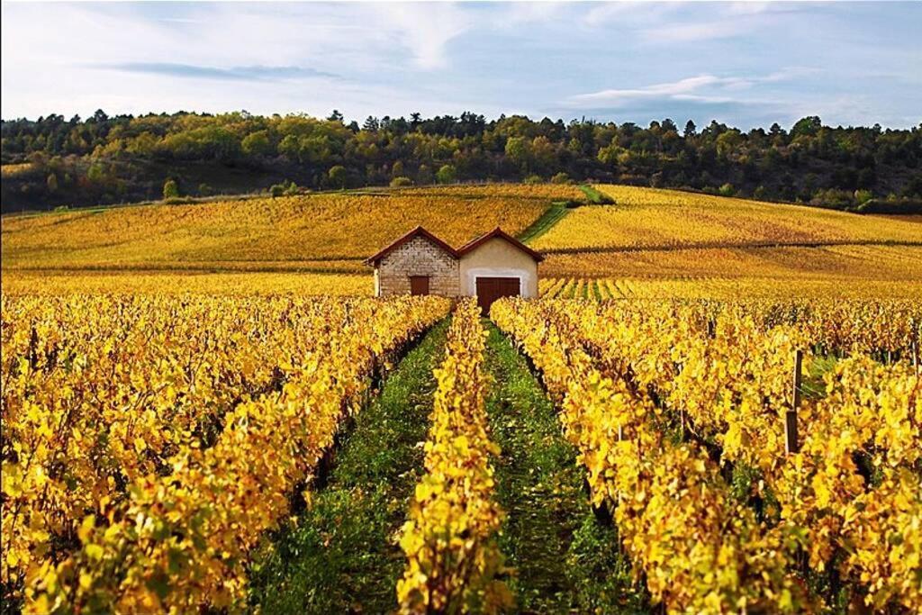 La Petite Cour Lejlighed Beaune  Eksteriør billede